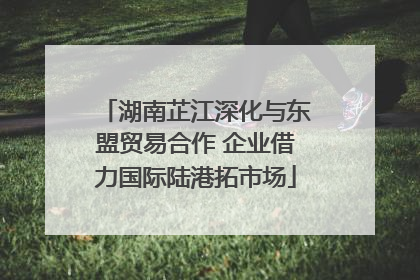 湖南芷江深化与东盟贸易合作 企业借力国际陆港拓市场