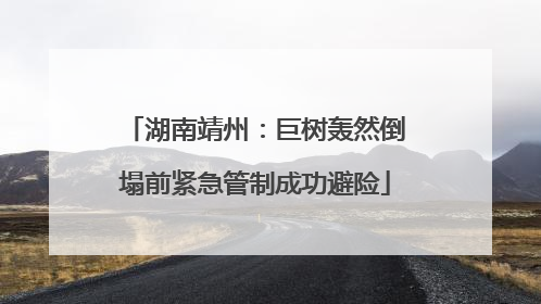 湖南靖州：巨树轰然倒塌前紧急管制成功避险