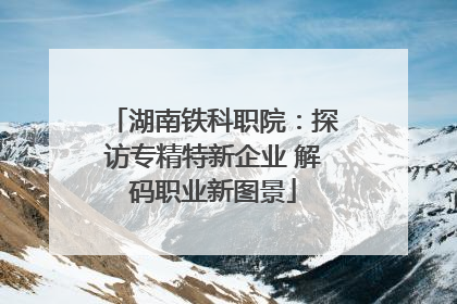湖南铁科职院：探访专精特新企业 解码职业新图景