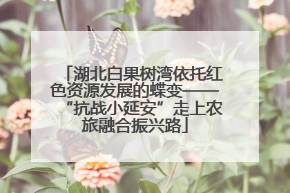 湖北白果树湾依托红色资源发展的蝶变——“抗战小延安”走上农旅融合振兴路