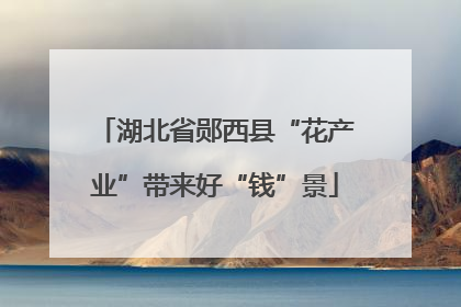 湖北省郧西县“花产业”带来好“钱”景