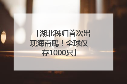 湖北秭归首次出现海南鳽！全球仅存1000只
