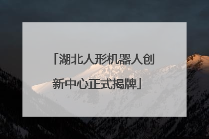湖北人形机器人创新中心正式揭牌