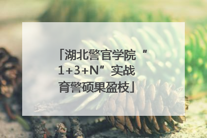 湖北警官学院“1+3+N”实战育警硕果盈枝
