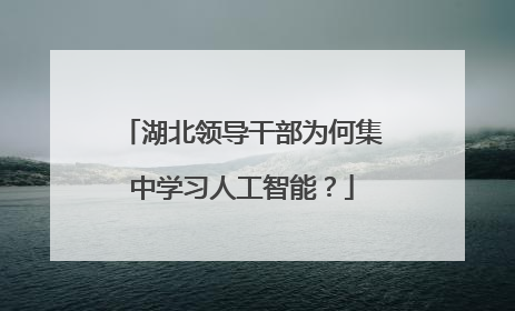 湖北领导干部为何集中学习人工智能？