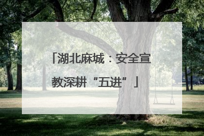 湖北麻城：安全宣教深耕“五进”