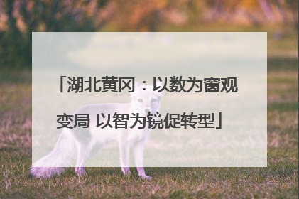 湖北黄冈：以数为窗观变局 以智为镜促转型