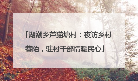 湖潮乡芦猫塘村：夜访乡村巷陌，驻村干部情暖民心