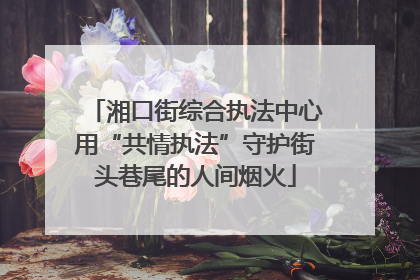 湘口街综合执法中心用“共情执法”守护街头巷尾的人间烟火