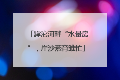 滹沱河畔“水景房”，崖沙燕育雏忙