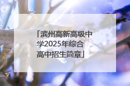 滨州高新高级中学2025年综合高中招生简章