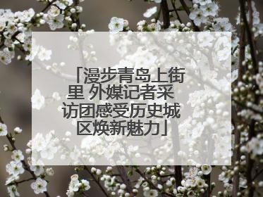 漫步青岛上街里 外媒记者采访团感受历史城区焕新魅力
