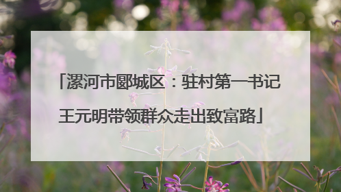 漯河市郾城区：驻村第一书记王元明带领群众走出致富路