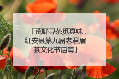 荒野寻茶觅真味，红安县第九届老君眉茶文化节启幕
