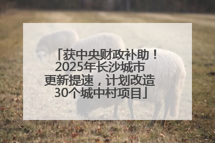 获中央财政补助！2025年长沙城市更新提速，计划改造30个城中村项目