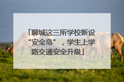 聊城这三所学校新设“安全岛”，学生上学路交通安全升级