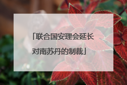 联合国安理会延长对南苏丹的制裁