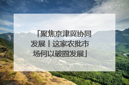 聚焦京津冀协同发展丨这家农批市场何以破圈发展
