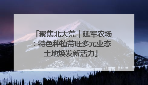 聚焦北大荒｜延军农场：特色种植带旺多元业态 土地焕发新活力