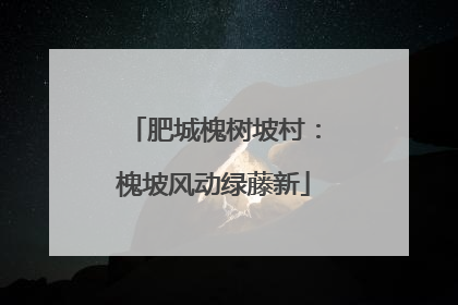 肥城槐树坡村：槐坡风动绿藤新