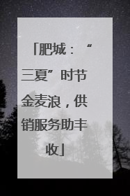 肥城：“三夏”时节金麦浪，供销服务助丰收