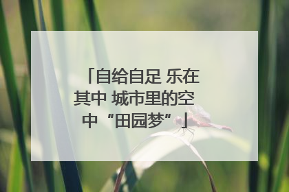 自给自足 乐在其中 城市里的空中“田园梦”