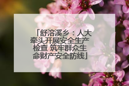 舒溶溪乡：人大牵头开展安全生产检查 筑牢群众生命财产安全防线