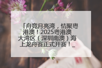 舟竞月亮湾，情聚粤港澳！2025粤港澳大湾区（深圳南澳）海上龙舟赛正式开赛！_深圳新闻网