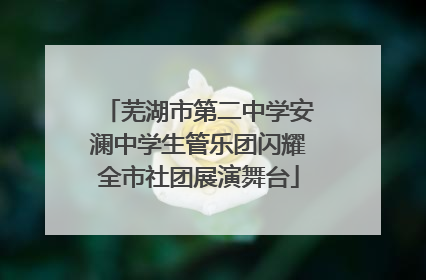 芜湖市第二中学安澜中学生管乐团闪耀全市社团展演舞台