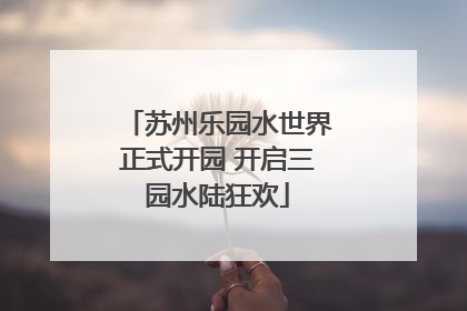 苏州乐园水世界正式开园 开启三园水陆狂欢