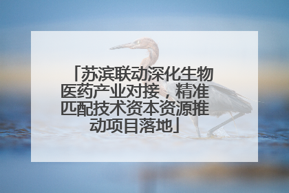 苏滨联动深化生物医药产业对接，精准匹配技术资本资源推动项目落地