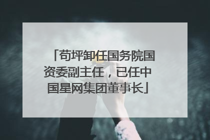 苟坪卸任国务院国资委副主任，已任中国星网集团董事长