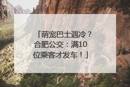 萌宠巴士遇冷？合肥公交：满10位乘客才发车！