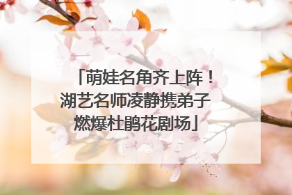 萌娃名角齐上阵！湖艺名师凌静携弟子燃爆杜鹃花剧场