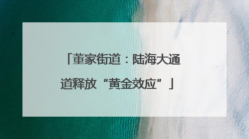董家街道：陆海大通道释放“黄金效应”