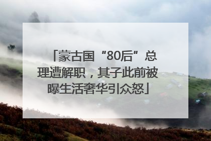 蒙古国“80后”总理遭解职，其子此前被曝生活奢华引众怒