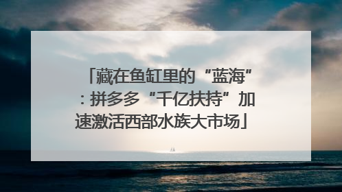 藏在鱼缸里的“蓝海”：拼多多“千亿扶持”加速激活西部水族大市场