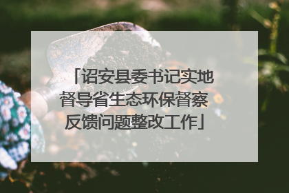 诏安县委书记实地督导省生态环保督察反馈问题整改工作
