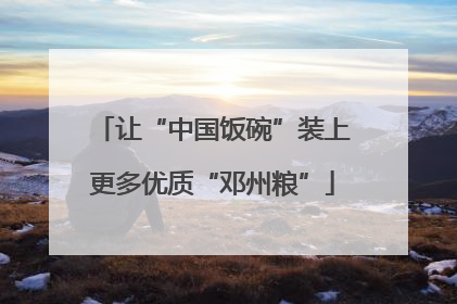 让“中国饭碗”装上更多优质“邓州粮”