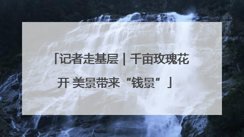 记者走基层｜千亩玫瑰花开 美景带来“钱景”