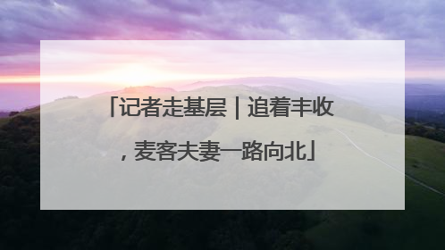 记者走基层｜追着丰收，麦客夫妻一路向北