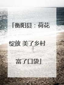 衡阳县：荷花绽放 美了乡村 富了口袋