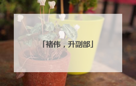 褚伟，升副部
