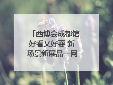 西博会成都馆好看又好耍 新场景新展品一网打尽“成都智造”｜西博视界