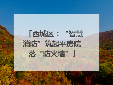 西城区：“智慧消防”筑起平房院落“防火墙”