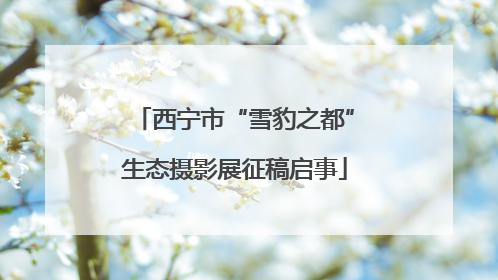 西宁市“雪豹之都”生态摄影展征稿启事