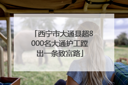 西宁市大通县超8000名大通护工蹚出一条致富路