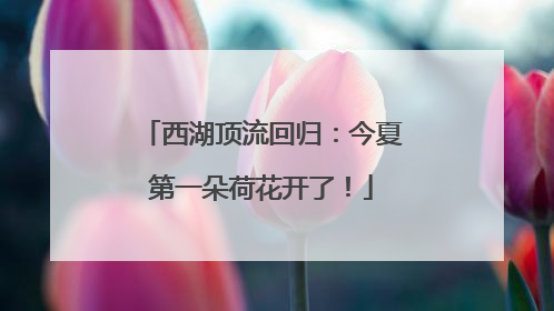 西湖顶流回归：今夏第一朵荷花开了！