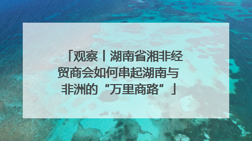 观察丨湖南省湘非经贸商会如何串起湖南与非洲的“万里商路”
