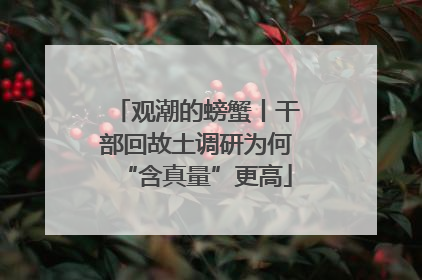 观潮的螃蟹丨干部回故土调研为何“含真量”更高